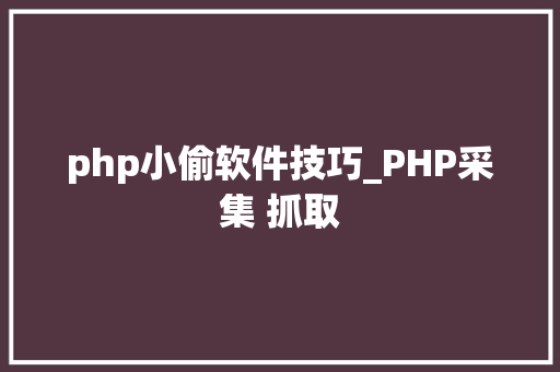 php小偷软件技巧_PHP采集 抓取