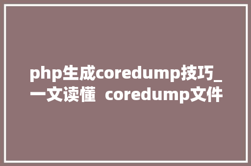 php生成coredump技巧_一文读懂  coredump文件是若何生成的