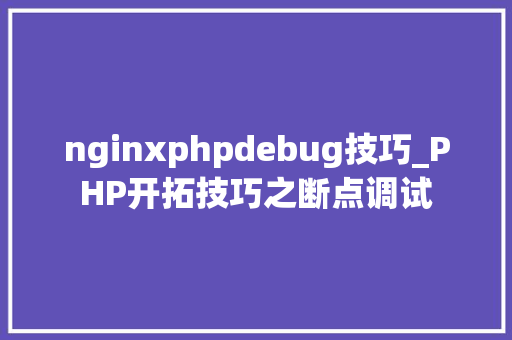 nginxphpdebug技巧_PHP开拓技巧之断点调试