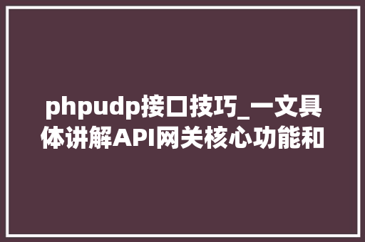 phpudp接口技巧_一文具体讲解API网关核心功能和API治理扩展