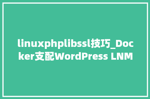 linuxphplibssl技巧_Docker支配WordPress LNMP情形实践