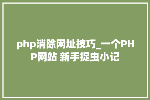 php消除网址技巧_一个PHP网站 新手捉虫小记