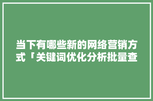 当下有哪些新的网络营销方式「关键词优化分析批量查询」