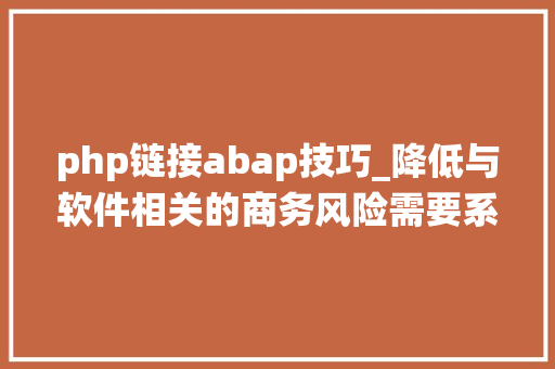 php链接abap技巧_降低与软件相关的商务风险需要系统的视角