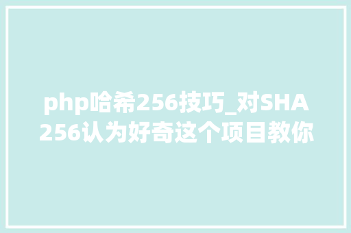 php哈希256技巧_对SHA256认为好奇这个项目教你若何可视化哈希函数的工作事理
