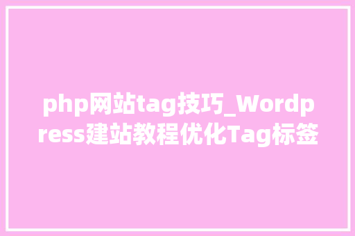 php网站tag技巧_Wordpress建站教程优化Tag标签地址