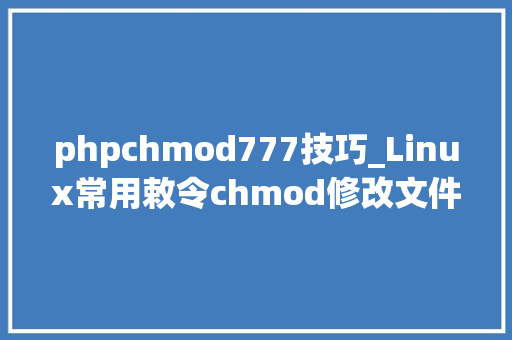 phpchmod777技巧_Linux常用敕令chmod修改文件权限 777和755分别是什么意思