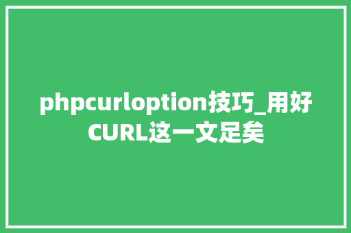 phpcurloption技巧_用好CURL这一文足矣