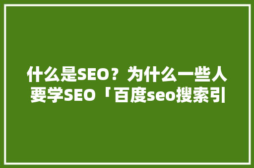 什么是SEO？为什么一些人要学SEO「百度seo搜索引擎优化」