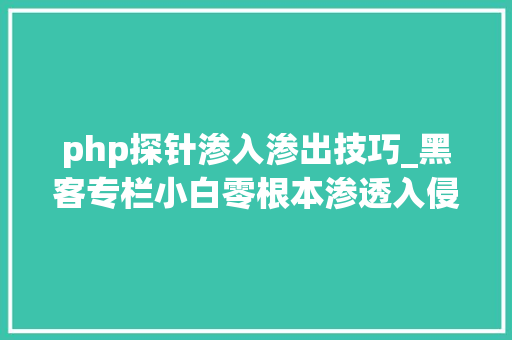 php探针渗入渗出技巧_黑客专栏小白零根本渗透入侵入门