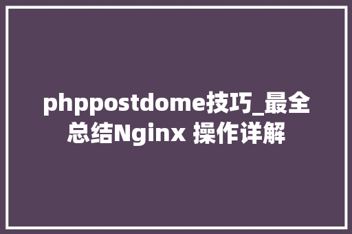 phppostdome技巧_最全总结Nginx 操作详解
