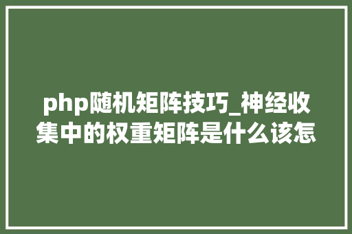 php随机矩阵技巧_神经收集中的权重矩阵是什么该怎么理解