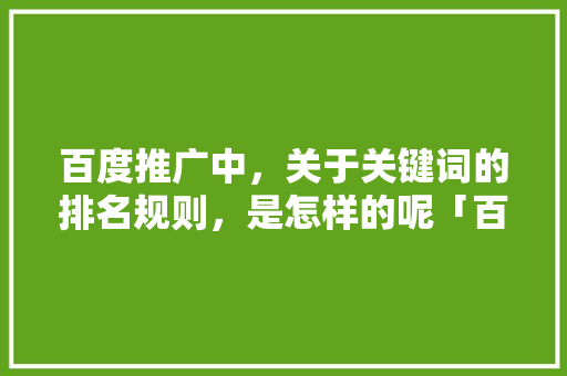 百度推广中，关于关键词的排名规则，是怎样的呢「百度seo排名优化助手」