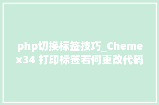 php切换标签技巧_Chemex34 打印标签若何更改代码自定义