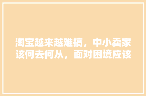 淘宝越来越难搞，中小卖家该何去何从，面对困境应该如何面对「seo 关键词优化」