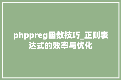 phppreg函数技巧_正则表达式的效率与优化