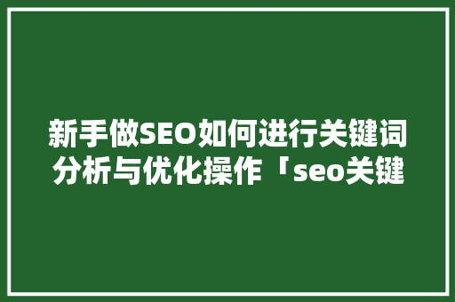 新手做SEO如何进行关键词分析与优化操作「seo关键词优化技术」