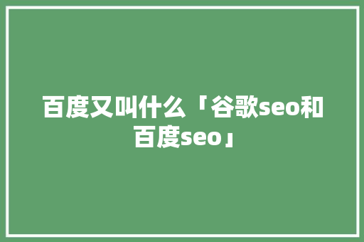百度又叫什么「谷歌seo和百度seo」