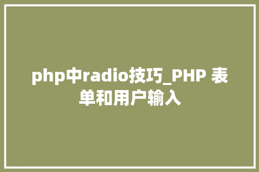 php中radio技巧_PHP 表单和用户输入