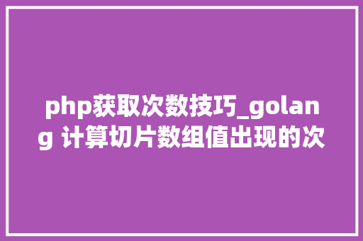 php获取次数技巧_golang 计算切片数组值出现的次数