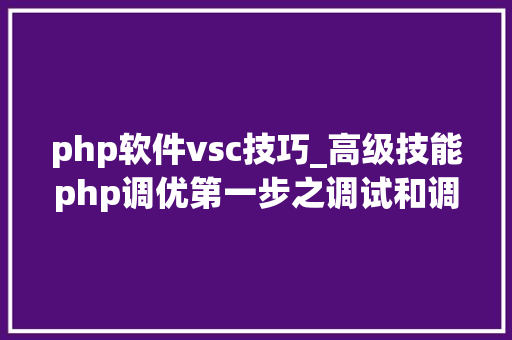 php软件vsc技巧_高级技能php调优第一步之调试和调优对象xdebug