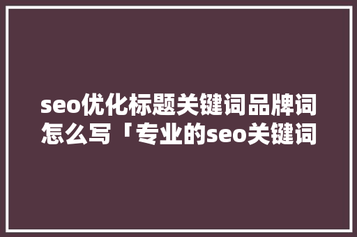 seo优化标题关键词品牌词怎么写「专业的seo关键词优化是什么」