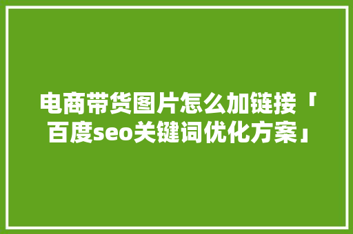 电商带货图片怎么加链接「百度seo关键词优化方案」