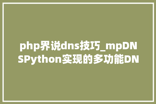 php界说dns技巧_mpDNSPython实现的多功能DNS做事器