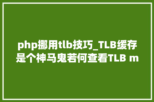 php挪用tlb技巧_TLB缓存是个神马鬼若何查看TLB miss