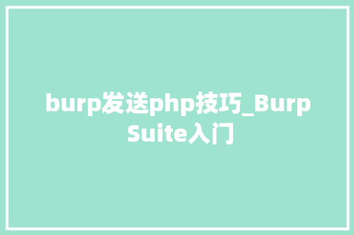 burp发送php技巧_Burp Suite入门