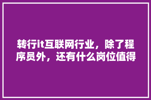 转行it互联网行业，除了程序员外，还有什么岗位值得推荐「百度seo正规优化」