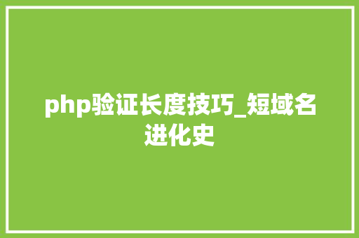 php验证长度技巧_短域名进化史