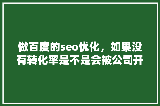 做百度的seo优化，如果没有转化率是不是会被公司开除「百度seo指数查询」