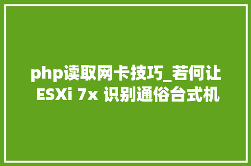 php读取网卡技巧_若何让 ESXi 7x 识别通俗台式机的网卡