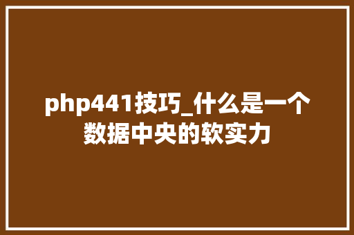 php441技巧_什么是一个数据中央的软实力