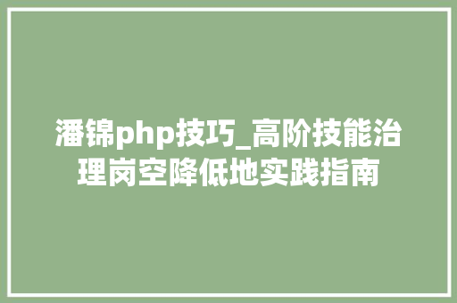 潘锦php技巧_高阶技能治理岗空降低地实践指南