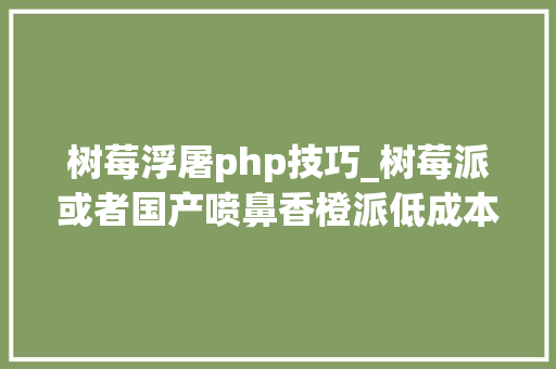 树莓浮屠php技巧_树莓派或者国产喷鼻香橙派低成本打造家用NAS