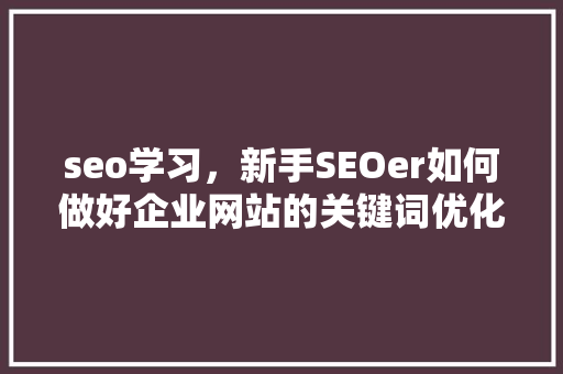 seo学习，新手SEOer如何做好企业网站的关键词优化「seo关键词优化玩法有哪些」