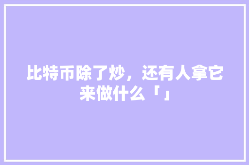 比特币除了炒，还有人拿它来做什么「」