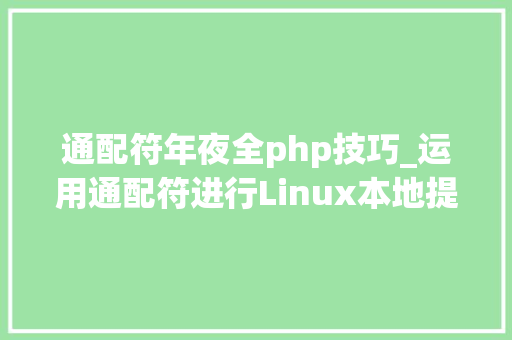 通配符年夜全php技巧_运用通配符进行Linux本地提权