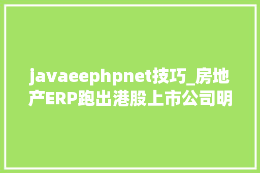 javaeephpnet技巧_房地产ERP跑出港股上市公司明源云靠什么支撑500亿市值