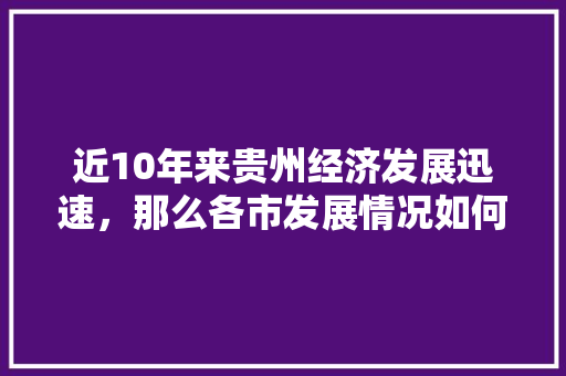 近10年来贵州经济发展迅速，那么各市发展情况如何？分别是几线城市「惠州百度seo」