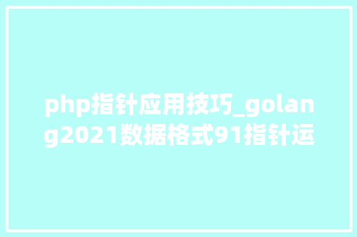 php指针应用技巧_golang2021数据格式91指针运用入门与unsafePointer