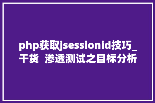 php获取jsessionid技巧_干货  渗透测试之目标分析与指纹识别总结