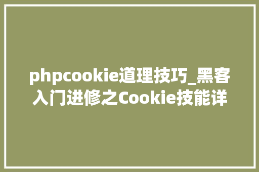 phpcookie道理技巧_黑客入门进修之Cookie技能详解