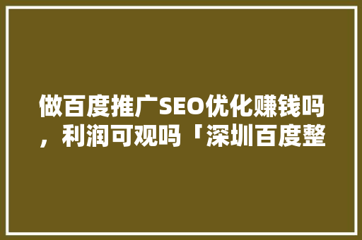 做百度推广SEO优化赚钱吗，利润可观吗「深圳百度整站优化服务」