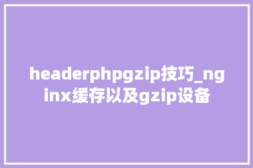 headerphpgzip技巧_nginx缓存以及gzip设备