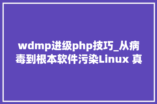 wdmp进级php技巧_从病毒到根本软件污染Linux 真的安然吗