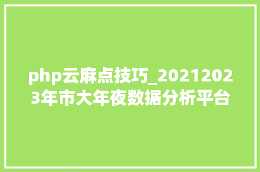 php云麻点技巧_20212023年市大年夜数据分析平台培植支配及运维运营做事