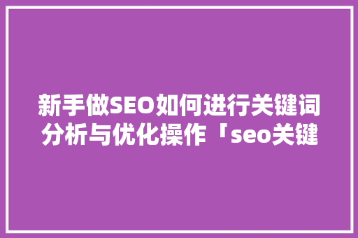 新手做SEO如何进行关键词分析与优化操作「seo关键词优化经验技巧」